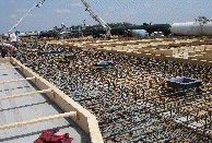 carmenwebsite001001.gif
