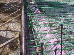 carmenwebsite003006.gif