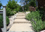 carmenwebsite003007.gif